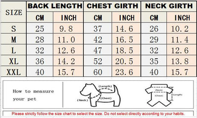 Tommy Stylish Next Dog Clothes