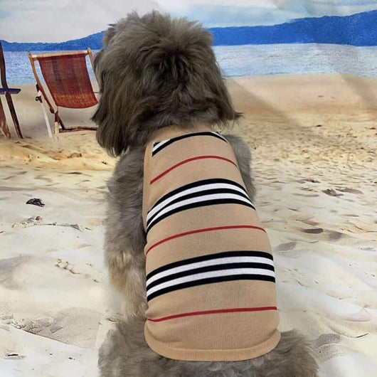 Trendy Dog Onyx Clothes