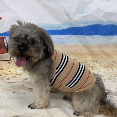 Trendy Dog Onyx Clothes