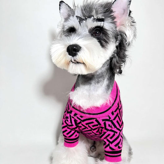 Stylish Dog Dreamy Sweaters