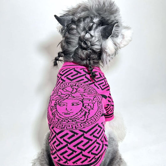Stylish Dog Dreamy Sweaters