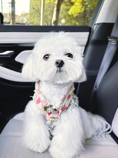 Gilet d'été à motif tête de chien