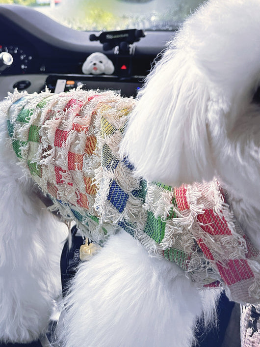 Gilet d'été à motif tête de chien
