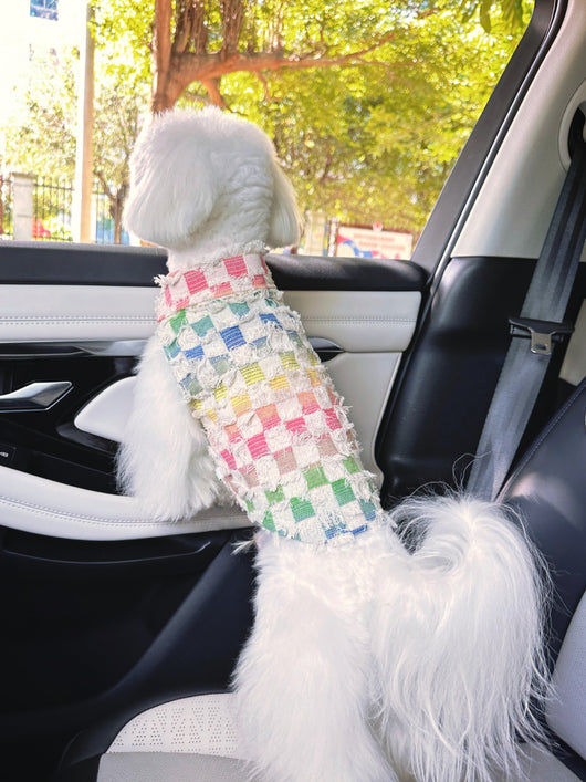 Gilet d'été à motif tête de chien