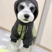Big Dog Cozy Sweatshirt with Hood