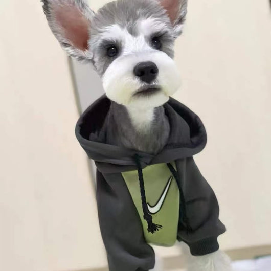 Big Dog Cozy Sweatshirt with Hood