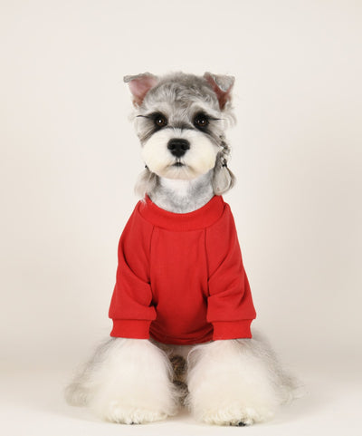 Big Dog Cozy Cute Sweatshirt