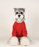 🏋️ Big Dog Cozy Cute Sweatshirt