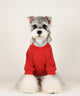 🏋️ Big Dog Cozy Cute Sweatshirt