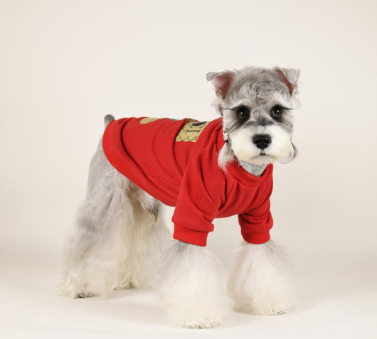 Big Dog Cozy Cute Sweatshirt