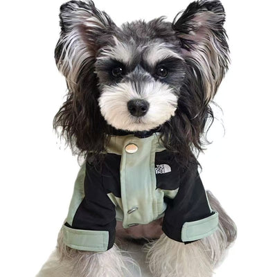 Chaleco de verano con cara de perro