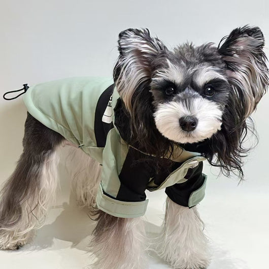 Chaleco de verano con cara de perro