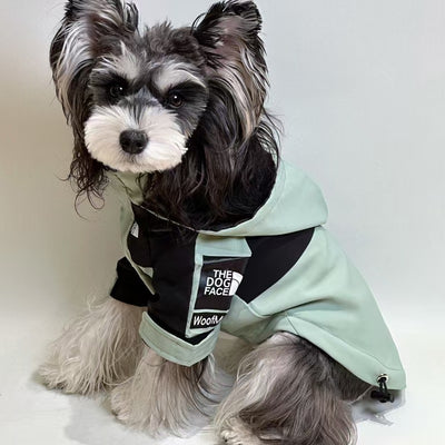 Chaleco de verano con cara de perro