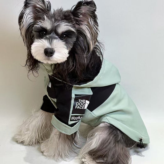 Chaleco de verano con cara de perro