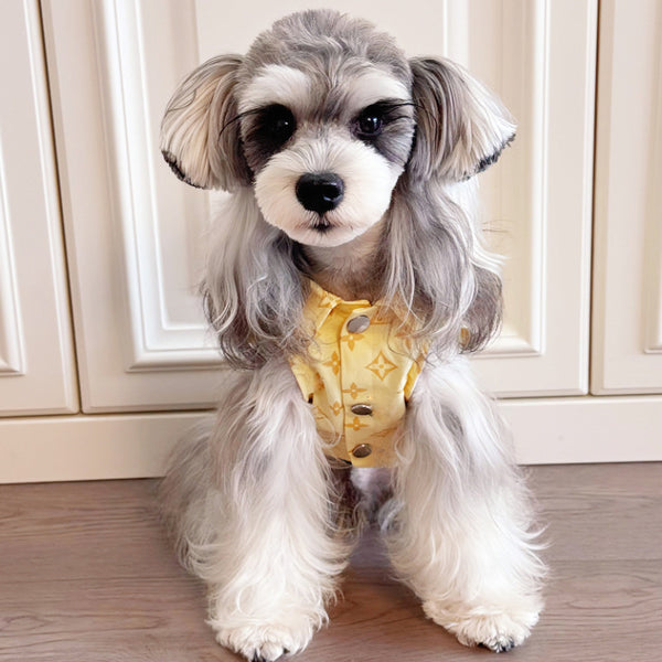 Big Dog Comfort Vest