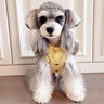 🦺 Big Dog Comfort Vest