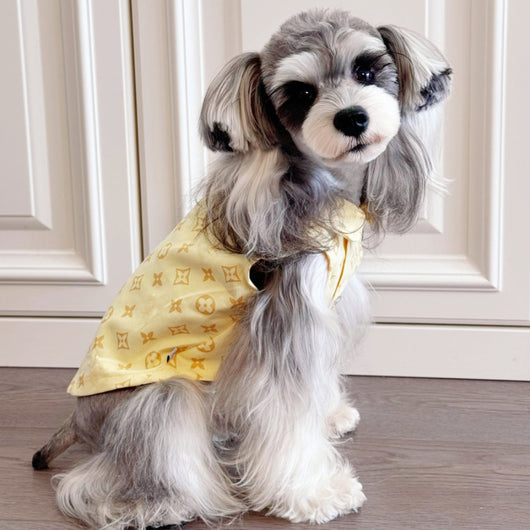 Big Dog Comfort Vest