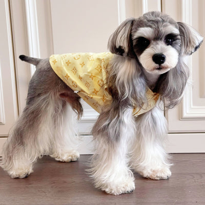 Big Dog Comfort Vest