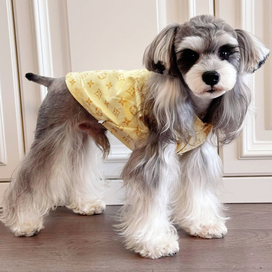 Big Dog Comfort Vest