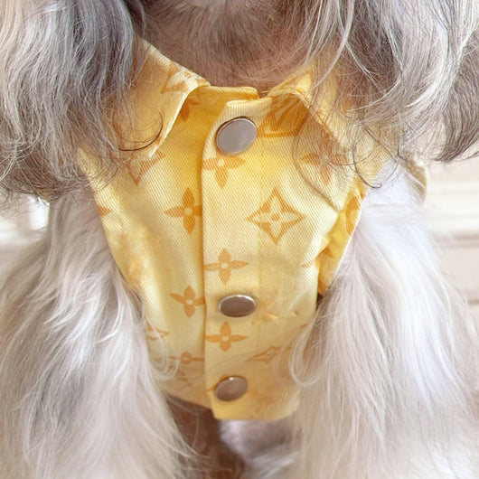 Big Dog Comfort Vest