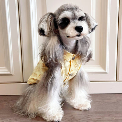 Big Dog Comfort Vest