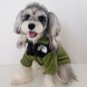 🧥 Big Dog Cuddle Jacket
