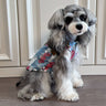 🦺 Big Dog Cozy Vest