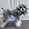 🦺 Big Dog Cozy Vest