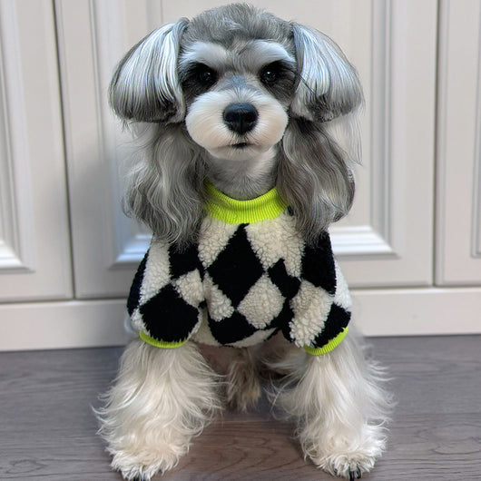 Big Dog Chill Day Sweater