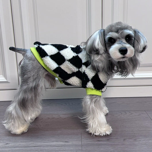 Big Dog Chill Day Sweater