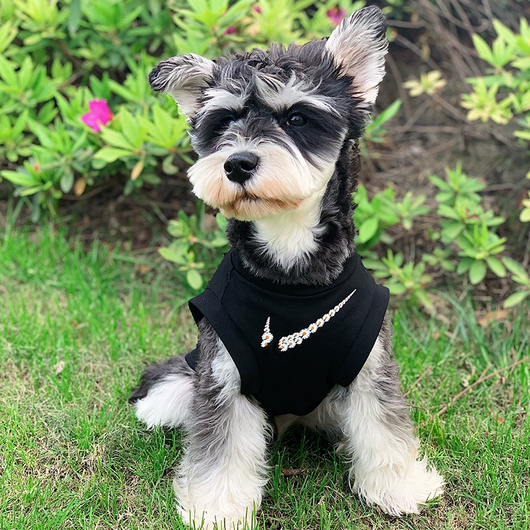 Jersey clásico para perros Legends n.° 23