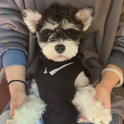 Jersey clásico para perros Legends n.° 23