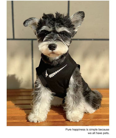 Jersey clásico para perros Legends n.° 23