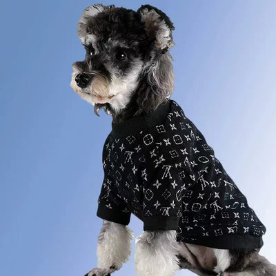 Big Dog LV Winter Cute Sweater