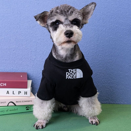 Big Dog Gentle Touch T-shirt