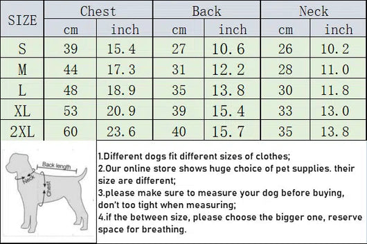 GG Soft Green Stripe Doggo Fire Sweater