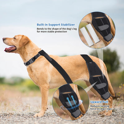 Doggo Knee Brace Sweet Straps