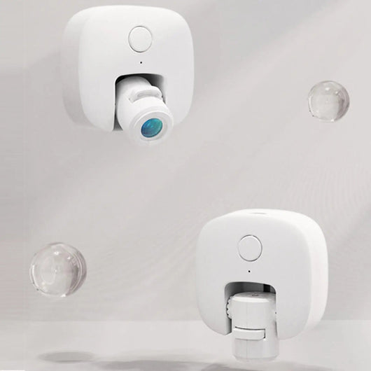 Pet Photos Guided Walk Social Light Banger Collar