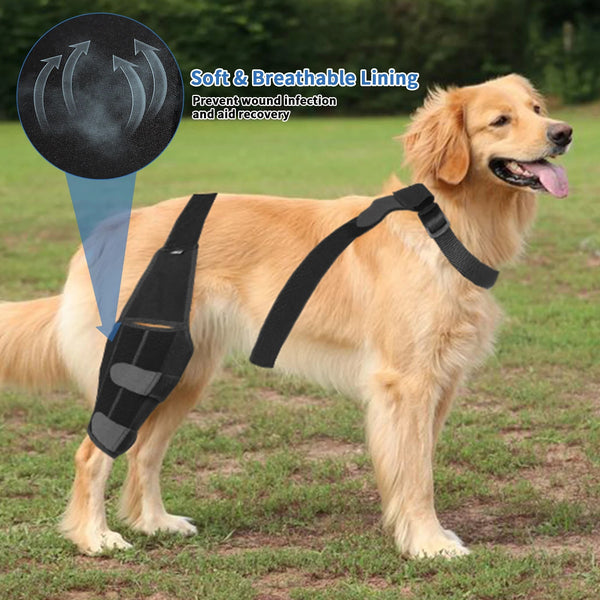Doggo Knee Brace Sweet Straps