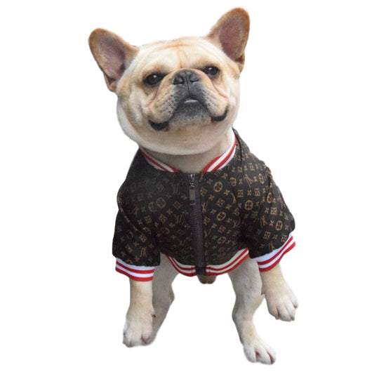 LV Zip Up Bomber Doggo Fresh Jacket