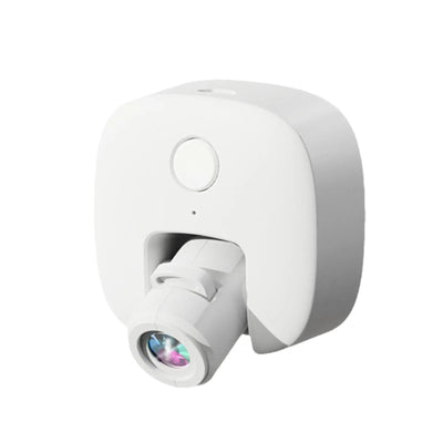 Pet Photos Guided Walk Social Light Banger Collar